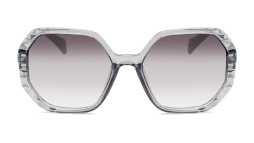 Очки Renome R 1254 C1